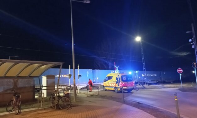 Elütött egy embert a vonat Vecsésnél: hétfőn ugyanitt gázolt halálra a vonat egy férfit