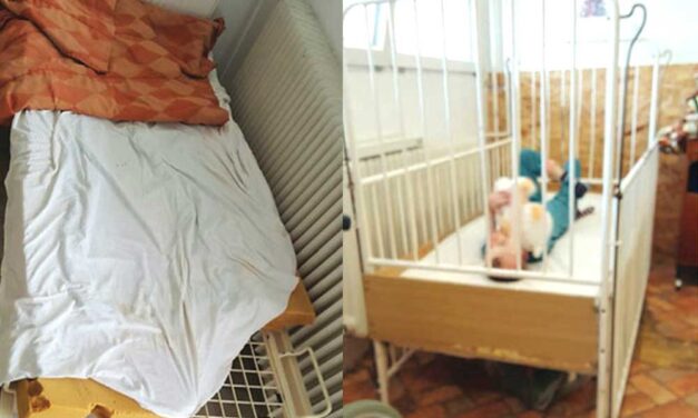 Botrány a gödi Topház otthonban: állatokként bántak a fogyatékkal élőkkel, ítéletet hozott a bíróság