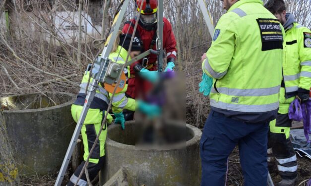 Megölhették és kútba dobhatták bűntársukat a csalók, akik Budapesten és környékén lakatlannak tűnő ingatlanokat adtak el hamis papírokkal