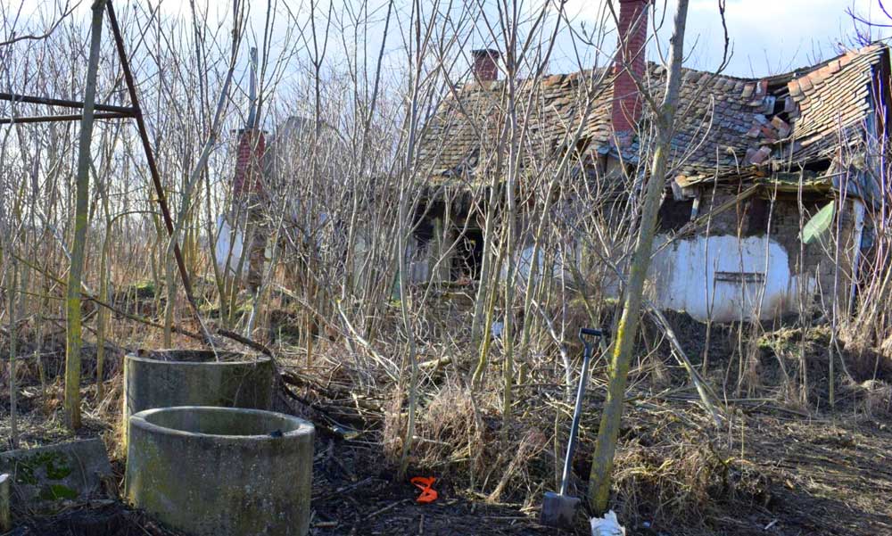 Hiába könyörgött fiának az idős beteg asszony, hogy hozzon neki kaját és fűtsön be, a férfi nem segített rajta: az idős dabasi asszony meghalt