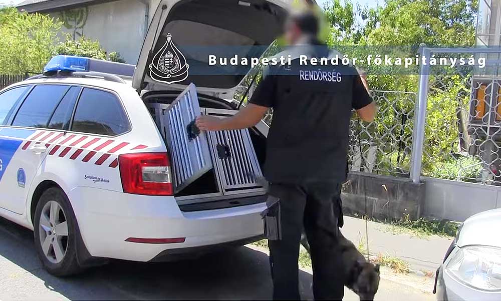Lúzer drogkereskedők: egy családi veszekedés miatt hívták ki a rendőröket magukra, a zsaruk még a hűtőben is kábszert találtak