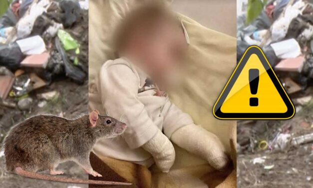 „Az állat elmenekült, ezután vettük észre, hogy az ágy melletti pelenkázón levő cumisüveg is össze van rágva” – visszakerült a kórházba a kislány, akit összeharapdált a patkány Ócsán