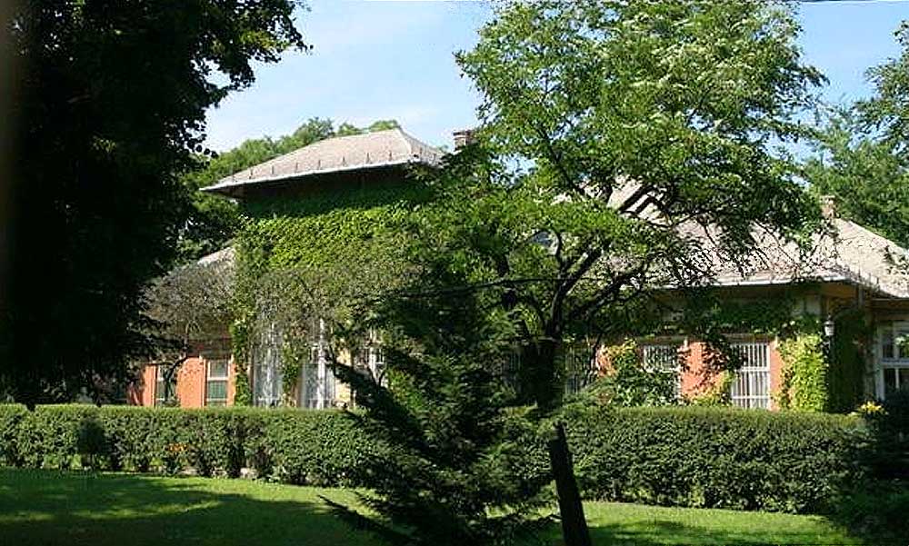 Rákospalotai pedofil-ügy: tudta, az igazgató, hogy a nevelő összefekszik a 15 éves gondozottakkal, mégsem tett feljelentést, így akarta megőrizni az intézet jó hírnevét