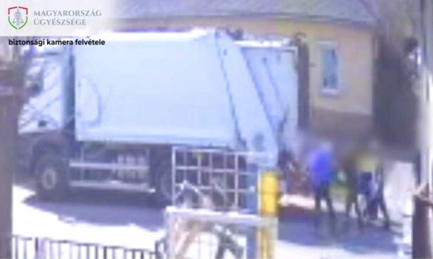 Rúgdosták, majd ököllel verték a fejét a kukásautó sofőrjének Tinnyén az agresszív helyiek – VIDEÓ