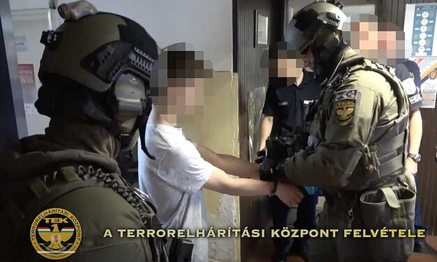 Lecsapott a TEK a 15 éves érdi fiúra, miután a tini a TikTok-on egy mecset felrobbantásával fenyegetőzött