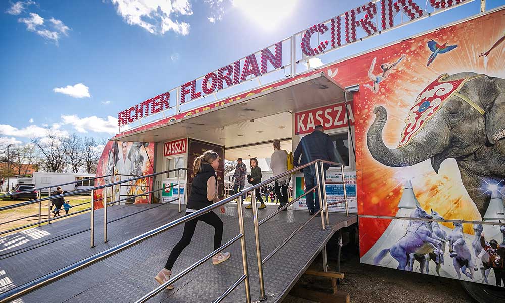 „Sikítás, sírás hallatszott” – a közönség közé csapódott egy cölöp a Richter Cirkusz előadásán, pár héte egy artista sérült meg ugyanitt