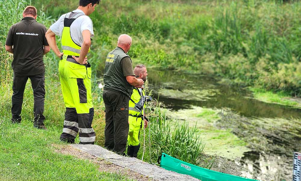 Tragédia Dabason! Kutyasétáltatás közben, rejtélyes körülmények közt vízbe fulladt egy 33 éves nő