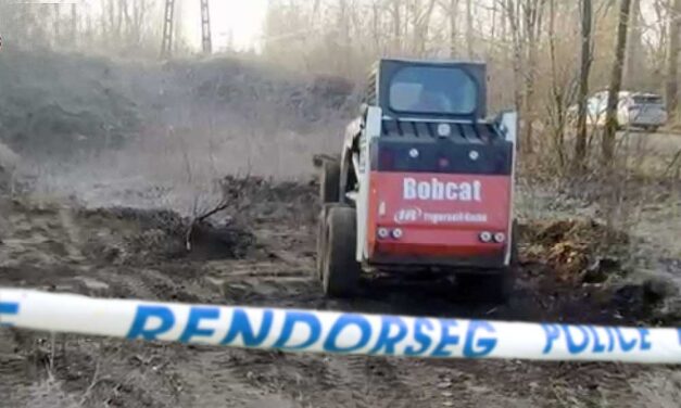 Egy bőröndbe rejtették a 20 éves lány holttestét, majd taxit hívtak, azzal vitték az erdőbe, majd elásták
