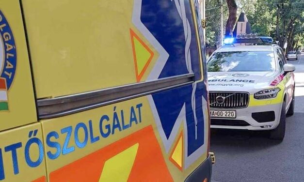 „Az utolsó pillanatokban tudták kimenteni” – megszólalt az orvos, aki azt a két kisgyermeket mentette meg, akit anyjuk a forró autóban hagyott a tűző napon