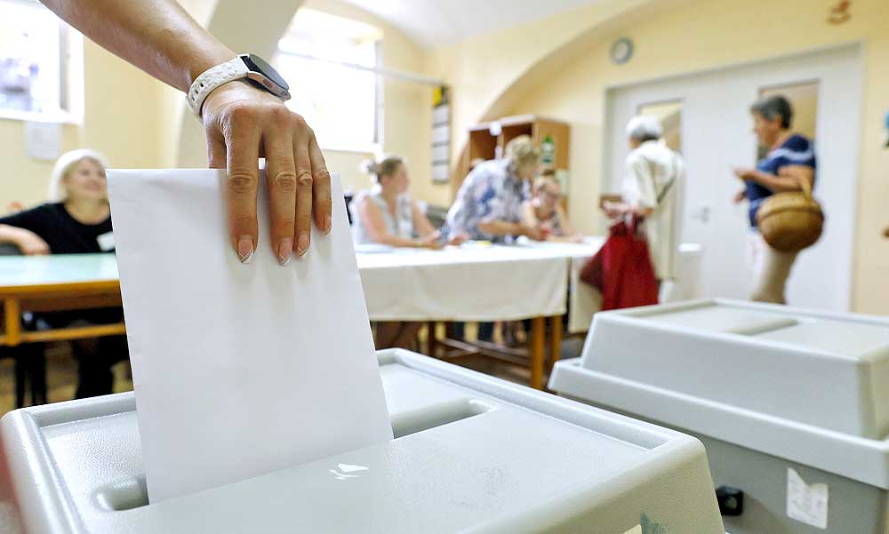 Hatalmasat bukott a Fidesz Biatorbágyon, Solymáron és Törökbálinton, a választók elzavarták a propagandistának tartott jelöltet is – Hová tűntek a Fidesz szavazói a budai agglomerációból?