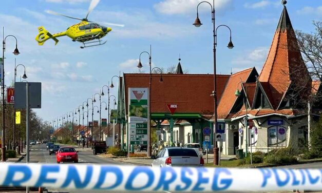 ÚJ RÉSZLETEK: Elgázoltak a zebrán egy édesanyát a két gyermekével, mentőhelikopter szállt le értük Veresegyházon