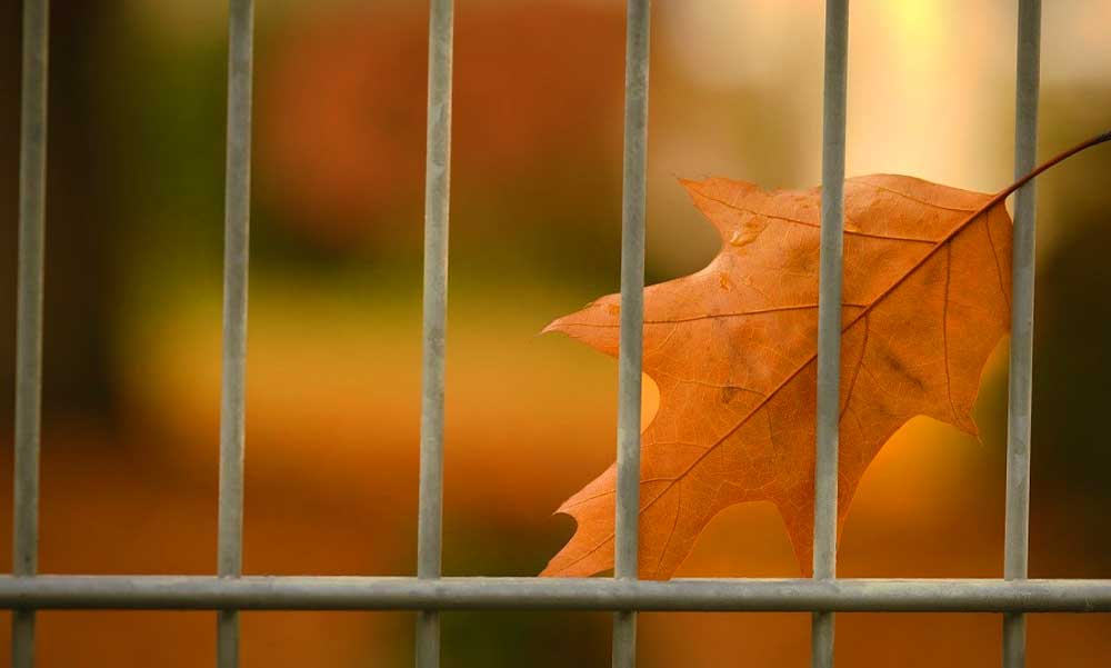 Egyszerű mód, hogy a kerítésépítés ne legyen bonyolult feladat