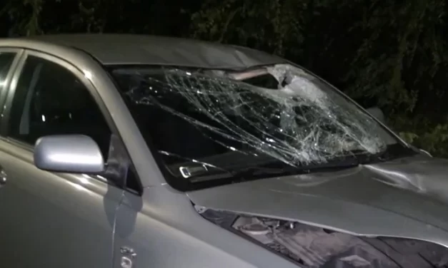 „Inkább meghaltam volna, hogy ne érezzem ezt a fájdalmat!” – mozgásképtelen lett a 18 éves Kristóf, akit Fóton, egy bedrogozott sofőr gázolt el a zebrán