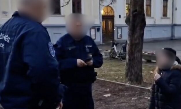 Visszakerülhet a nagyszülőkhöz az a testvérpár, amely sírva könyörgött a rendőröknek, hogy ne adják oda őket az apjuknak – a gyerekek segélykérő videója a cikkben