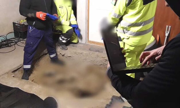 „Ádám próbálta az anyját az italról leszoktatni, de hiába” – italozó életmódja miatt romlott meg a monori asszony és fia viszonya, ezért végezhetett anyjával a férfi