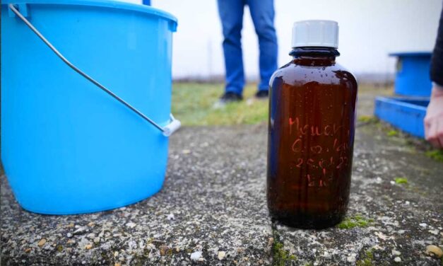 Rákkeltő arzént találtak az ivóvízben Ráckevén: azonnal leállították a fogyasztását, felfüggesztették a fogászati kezeléseket is