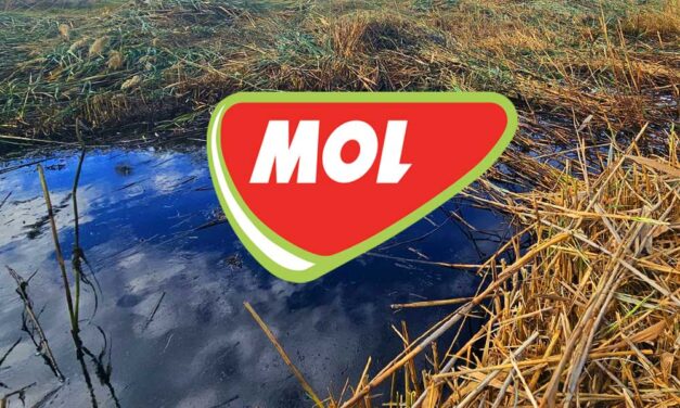 Úszómedencényi MOL-üzemanyag folyt el a Velencei-tónál a talajba, a Greenpeace a terület megtisztítását követeli