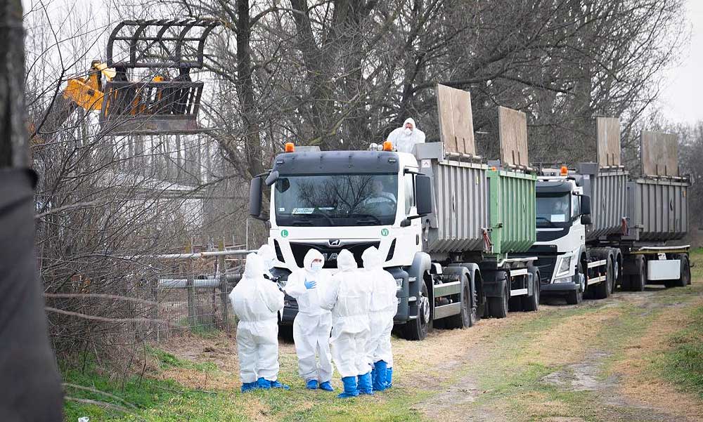 Egyre durvul a járványhelyzet Magyarországon: látogatási tilalmat rendeltek el több balatoni szabadtéri élményközpontban a száj- és körömfájás betegség miatt