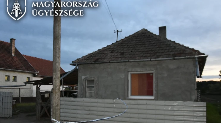 Sokkolóval kínozta és halálra éheztette a rabszolgaként tartott nőt a házaspár: a piliscsévi nő holttestét egy autóból dobták ki