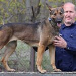 “Nincs olyan drog, amit ne szagolna ki Pötyi” – állítja a dunakeszi kiképzőközpont korábbi trénere, a most is bevetésekre járó Ungvári László