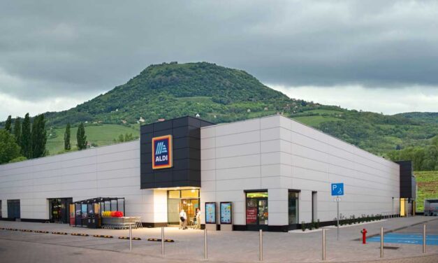 600 ezres fizetésekkel és fagylaltszigetekkel készül az Aldi az idei balatoni nyárra