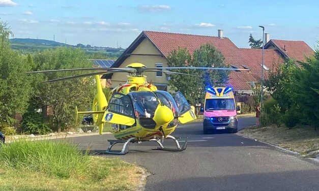 Focizás után összeesett a kertben és meghalt egy 11 éves kisfiú