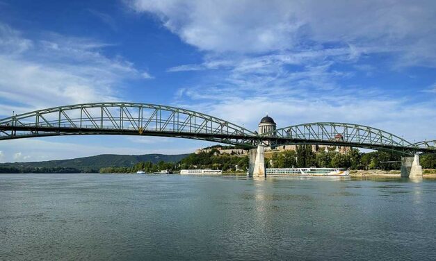 Megszólalt az OMSZ: abban reménykednek, hogy a Dunába ugrott esztergomi mentőállomás vezetője még életben van