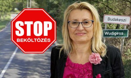 Megtelt Budakeszi – A polgármester, Győri Ottilia bedobta az ötletet: pénzt szedhetnének az új beköltözőktől, nagy vita robbant ki a településen