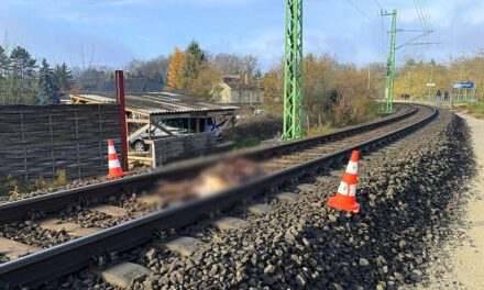 Elütött egy embert a vonat Isaszegen, Piliscsabán szarvast gázolt egy szerelvény