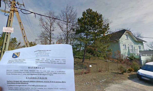 Balhé Diósdon: Egy építkezés miatt fákat vágnak ki, az engedély nem érdekli a dühös helyieket, a tulaj magyarázkodik
