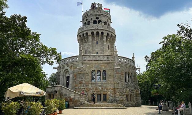 Saját magának adta bérbe az Erzsébet-kilátó büféjét a fideszes-idők kerületi cégvezetője