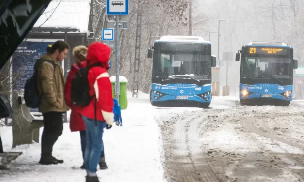 BKK: aki a Normafára megy szánkózni, válassza a közösségi közlekedést!