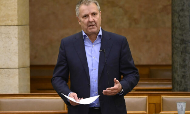 Leesett egy lépcsőről Molnár Gyula, a 11. kerület volt polgármestere napok óta súlyos állapotban van