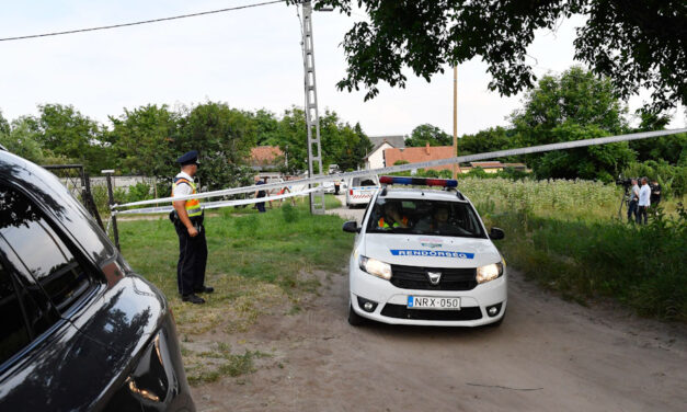 Megkéselte vendéglátójának unokáit egy férfi Baracskán, a kicsik lefekvéshez készültek, amikor rájuk rontott a támadó