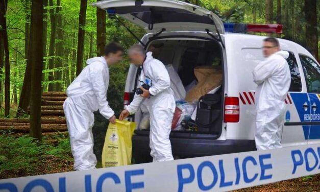 Felfoghatatlan bűntett a Marina Parton: kivégezték a párt, feldarabolták a holttestüket, majd elásták őket egy mésszel teli gödörben a Pilisben