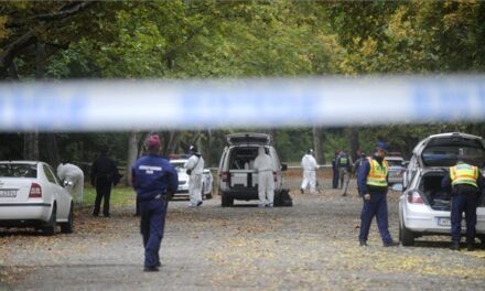 Késsel támadt egy ismeretlen családra a népligeti gyilkosság áldozatának fia