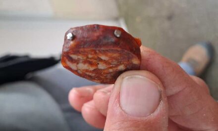 Zavarta a szomszéd kutyájának ugatása a fóti férfit, szöges kolbászt dobott neki