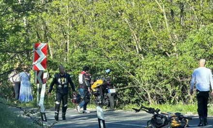 Erdőbe repült a motoros a szerpentinen: Drámai pillanatok a hírhedt kanyarvadászaton – Helyszíni fotók