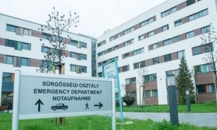 Lázgörcsöt kapott és meghalt egy kétéves kisfiú a tatabányai kórházban, a szülők szerint a gyereket meg sem vizsgálták