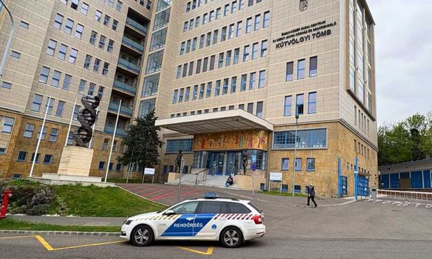 Emberölés a János kórházban: a sürgősségi osztályon dolgozott a doktornő, aki egyik betegét átsegítette a túlvilágra