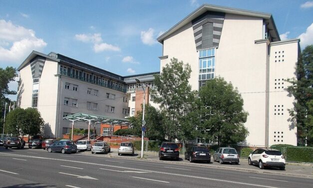 Kiakadtak a kismamák: októbertól a Szent Imre kórházban csak egy kísérő lehet bent a szülésnél