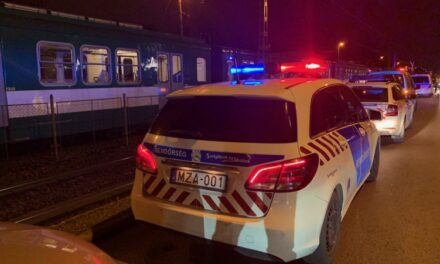 A kerepesi HÉV-en kapták el a 13 éves Brendonkát, aki több bűncselekményt is elkövethetett a környéken