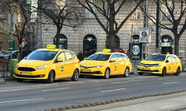 Egy havi albérlet ára miatt akarta megölni volt kolléganője a nőt – egy taxis mentette meg az életét