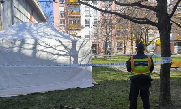 Kiderült: egy 52 éves lajosmizsei nő holttestét találták meg egy bokorban, aki halála előtt, a nyílt utcán közösült a 22 éves férfival